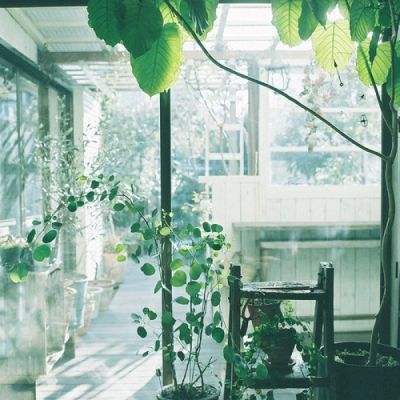 开云体云app手机app下载