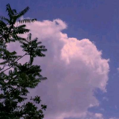 Bob体育登录入口APP下载