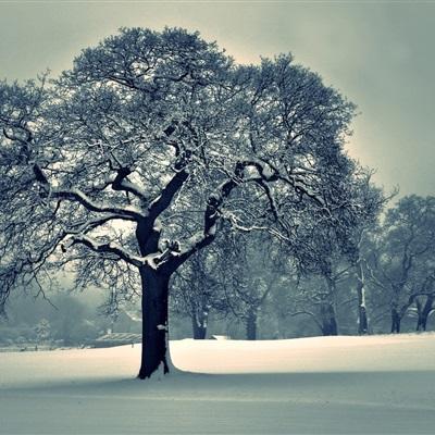 Bob体育登录入口APP下载