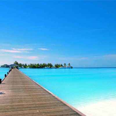 cq9电子游戏appapp下载