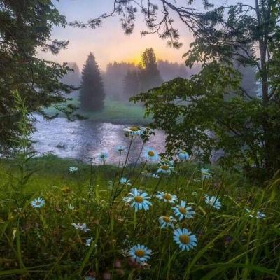 AG旗舰厅app下载截图