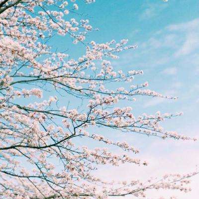 押注篮球的app下载手机版